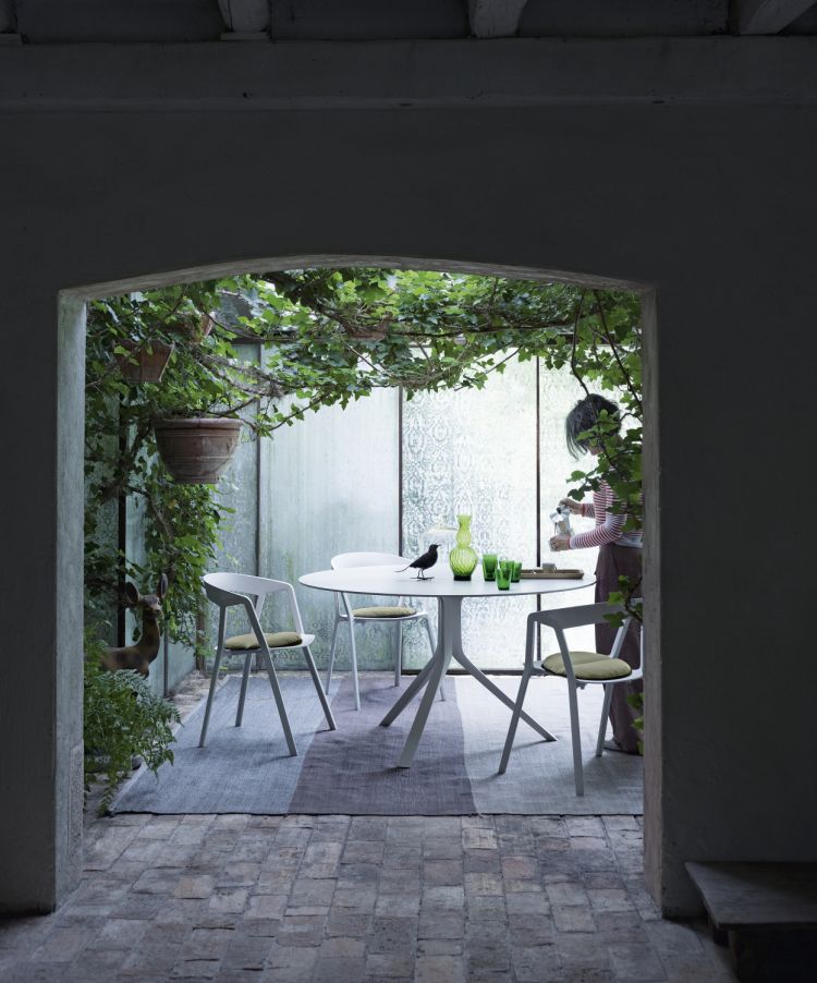 Decorar con plantas. El secreto de un hogar alegre.